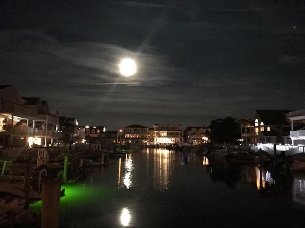 335 47th Place, Sea Isle City (Bay Front)