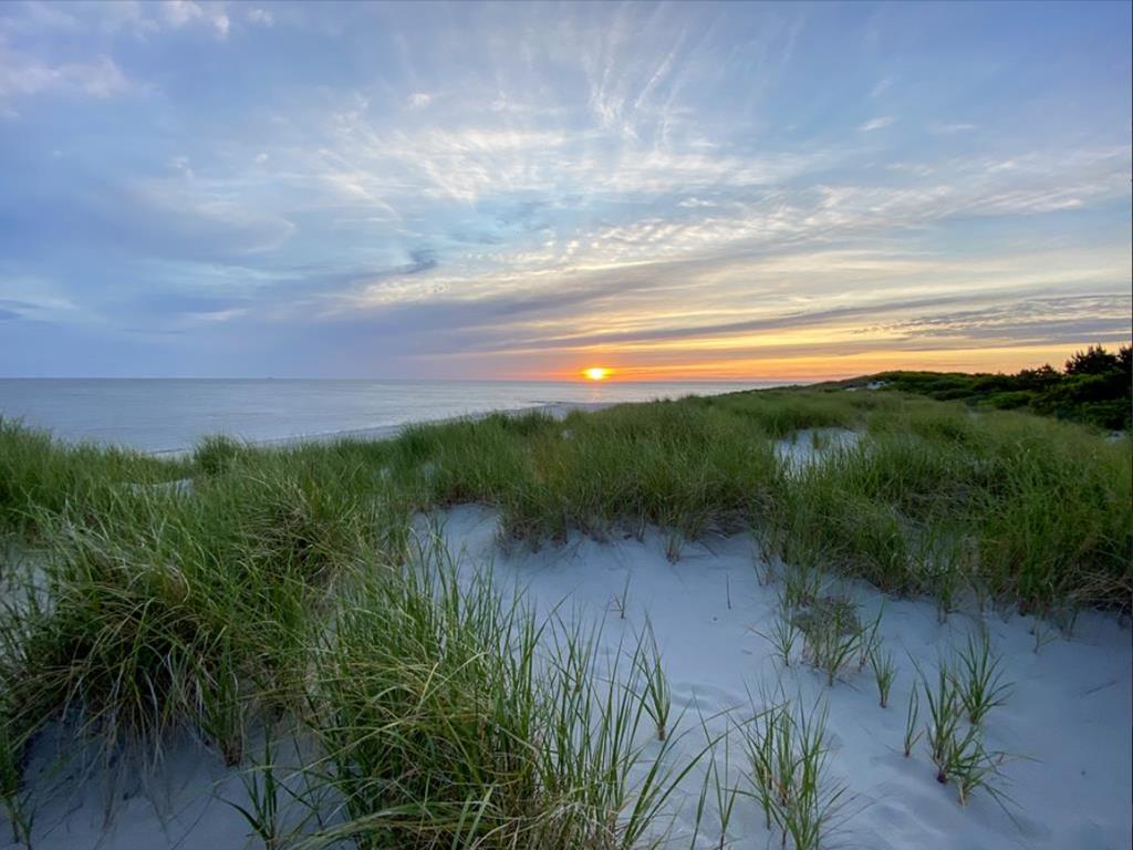 The Nest - 309 Alexander Avenue | Photo 19