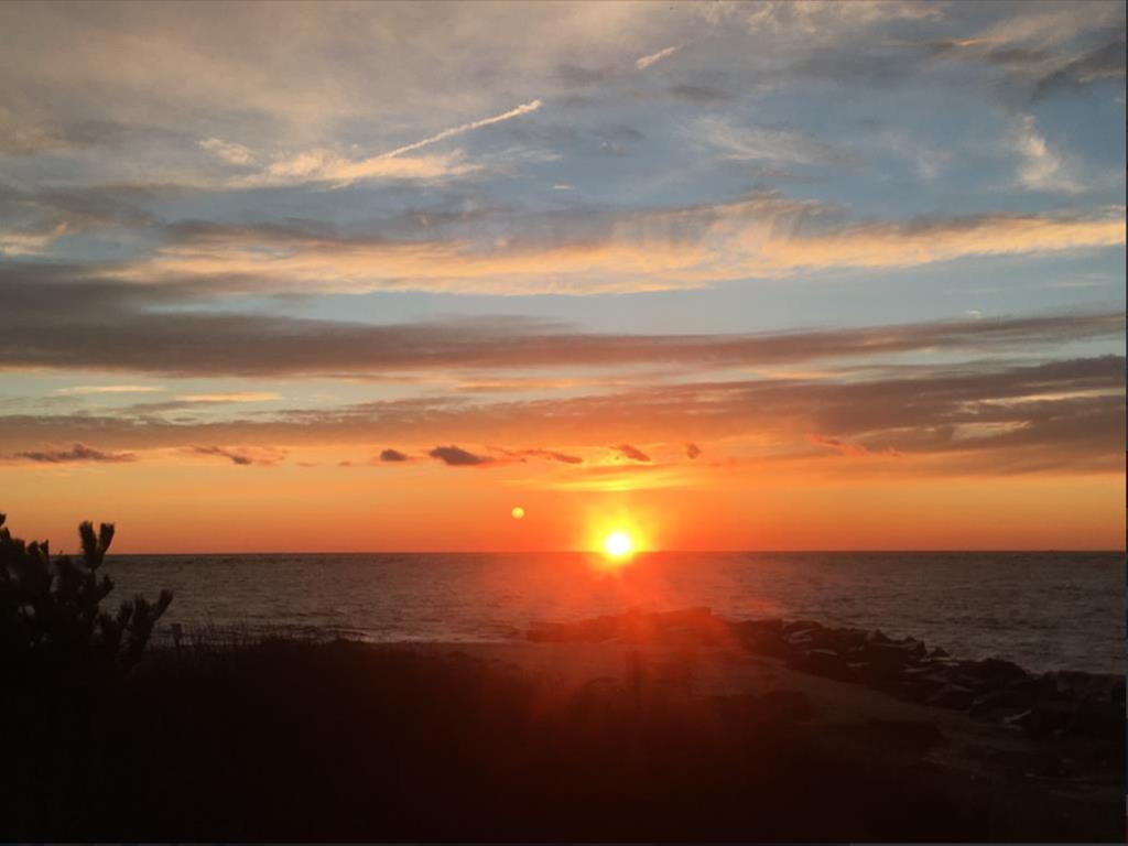 The Nest - 309 Alexander Avenue | Photo 8