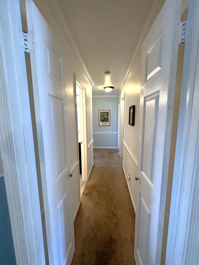 Pet Friendly - 3 Bedrooms on Lafayette! | Photo 8