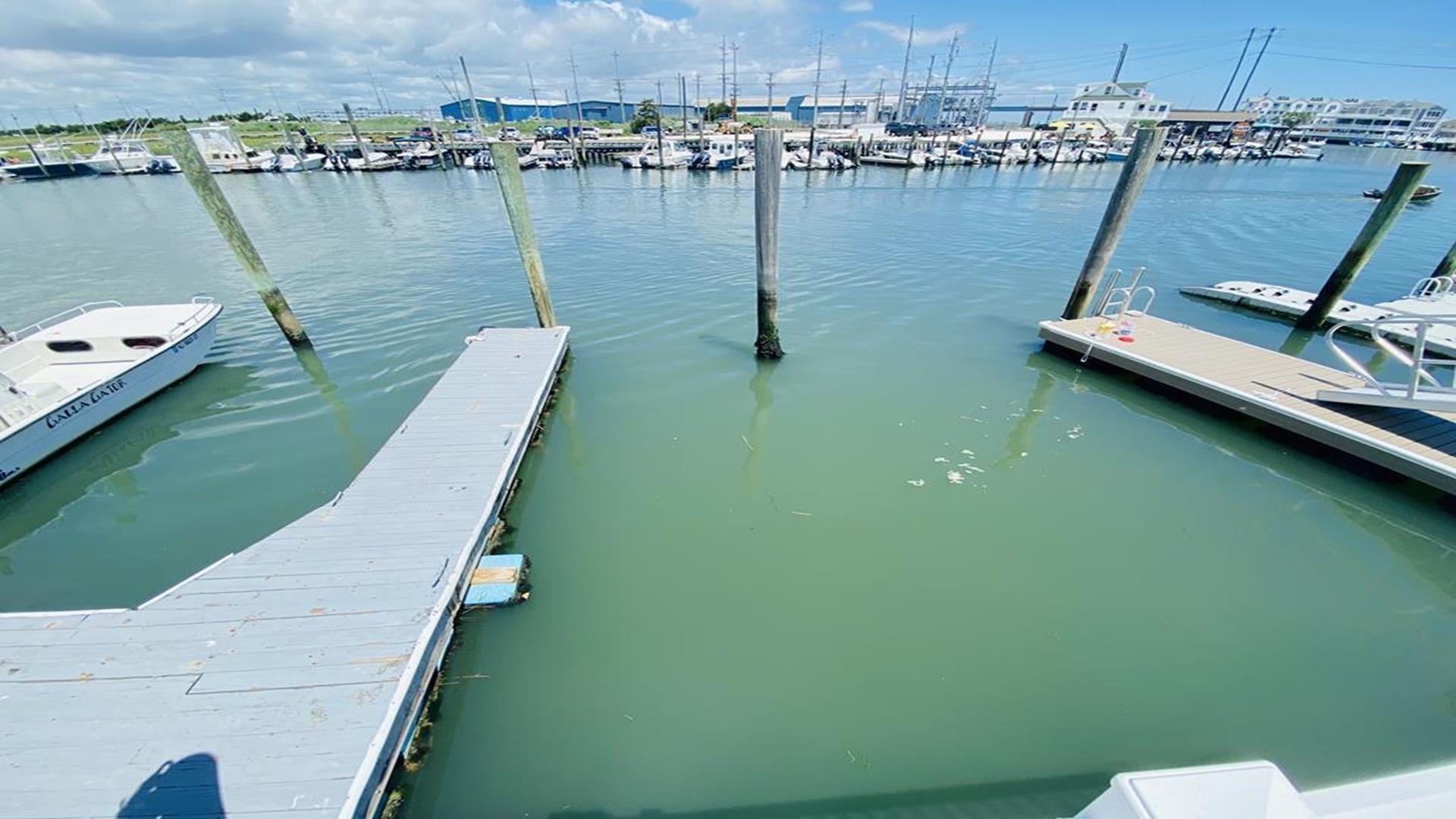 4436 Venicean Road, Sea Isle City (Bay Front)
