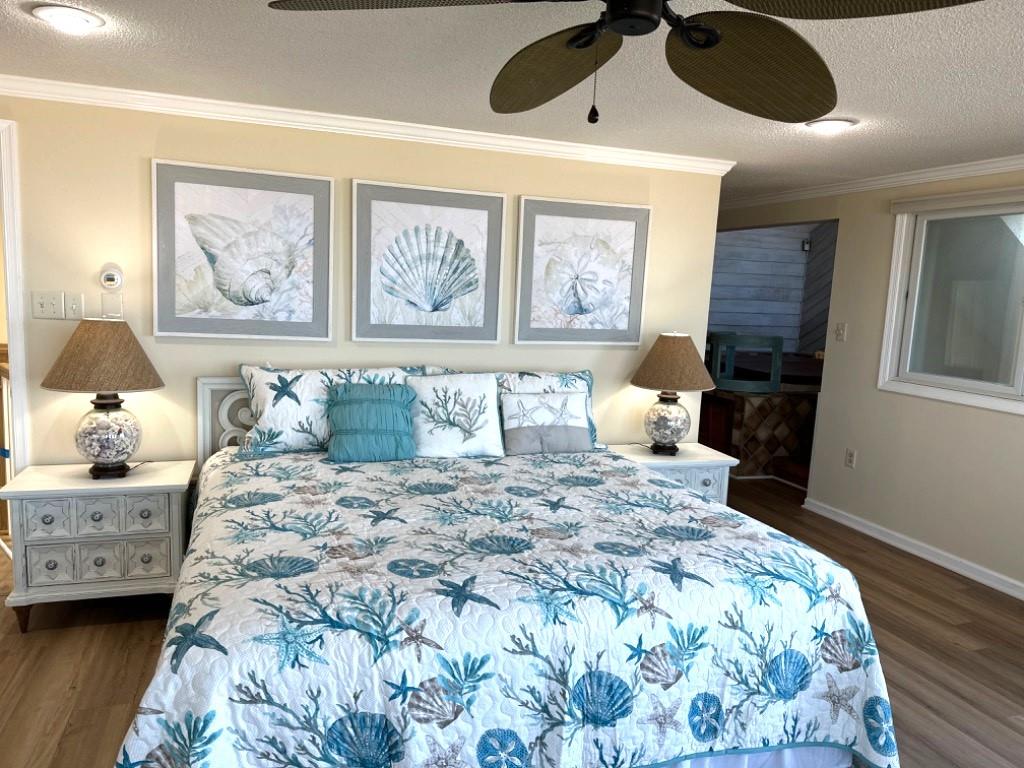 214 E 19th Street, North Beach Haven (Ocean Front)