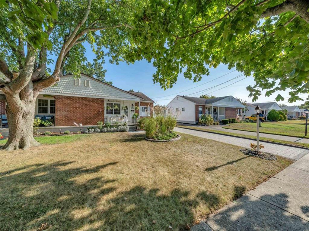 Summer Wind | Photo 33