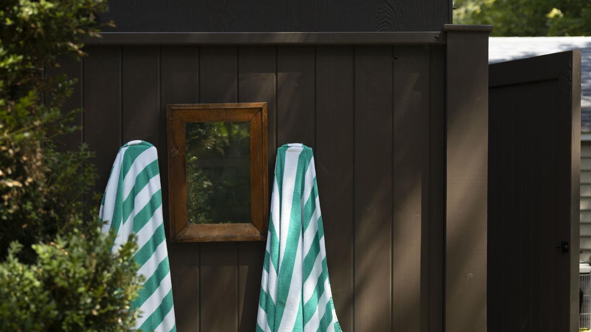 The Loon And The Wren