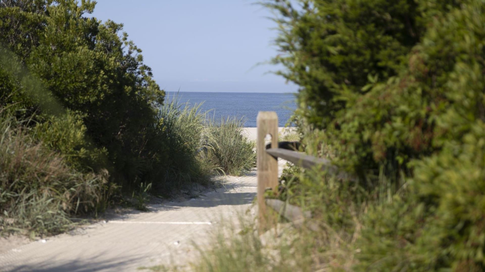 The Loon And The Wren