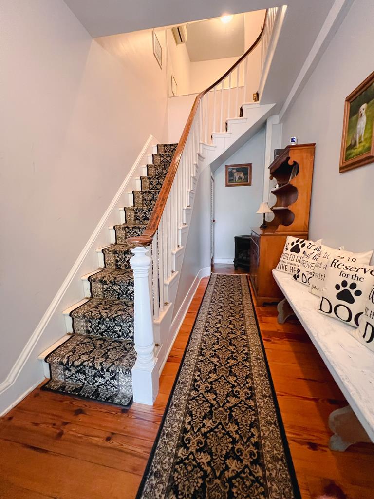 1015 Washington Fennec Fox Suite