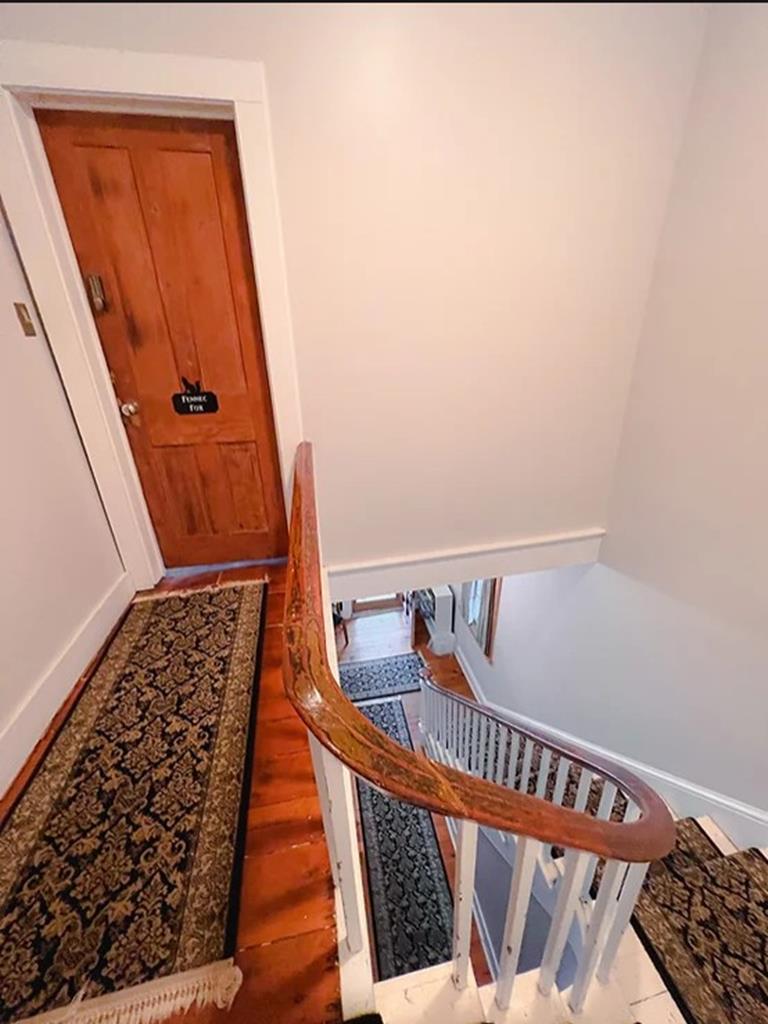 1015 Washington Fennec Fox Suite | Photo 3