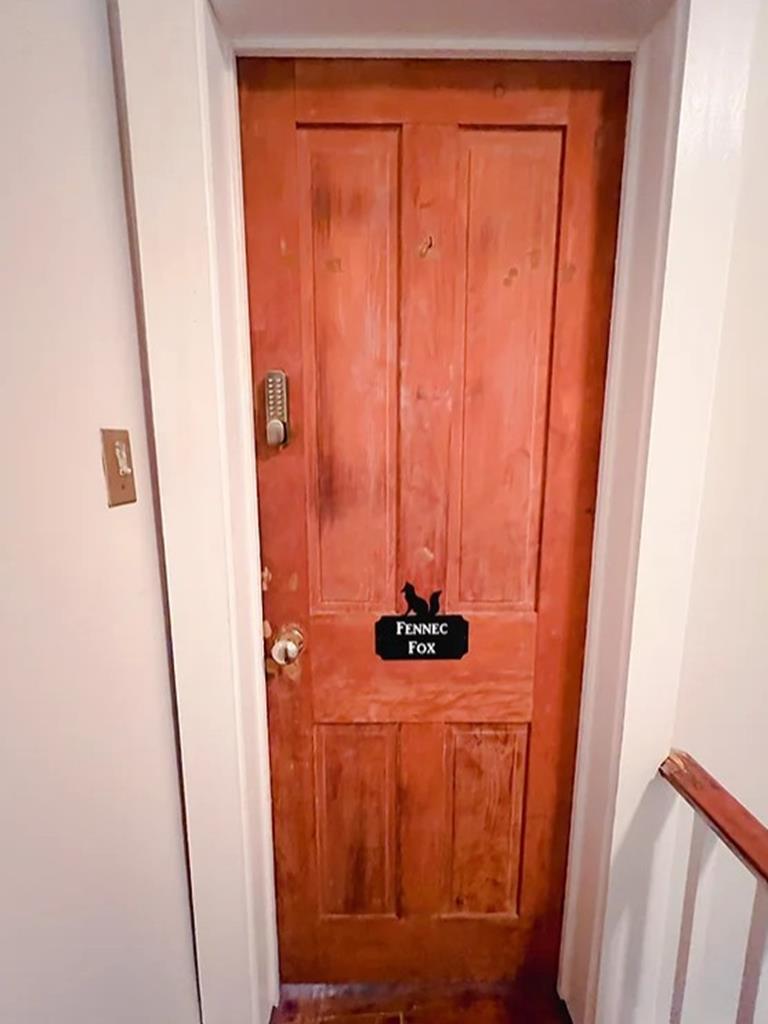 1015 Washington Fennec Fox Suite | Photo 6