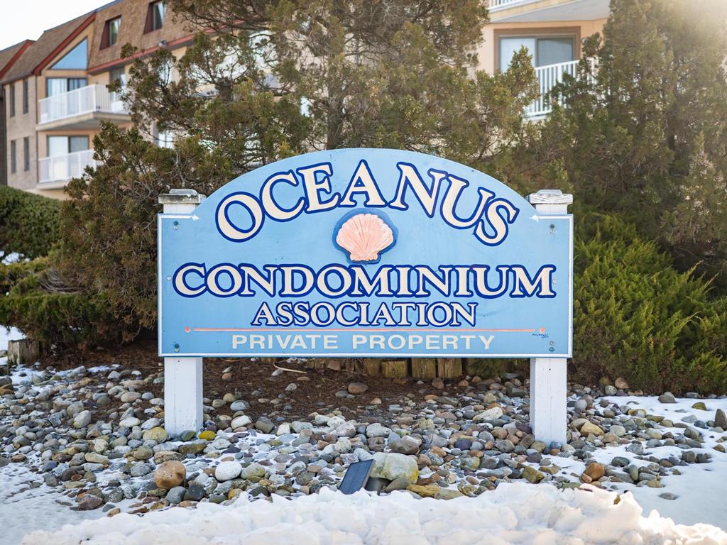 9 Pearl Street, Beach Haven (Ocean Front)