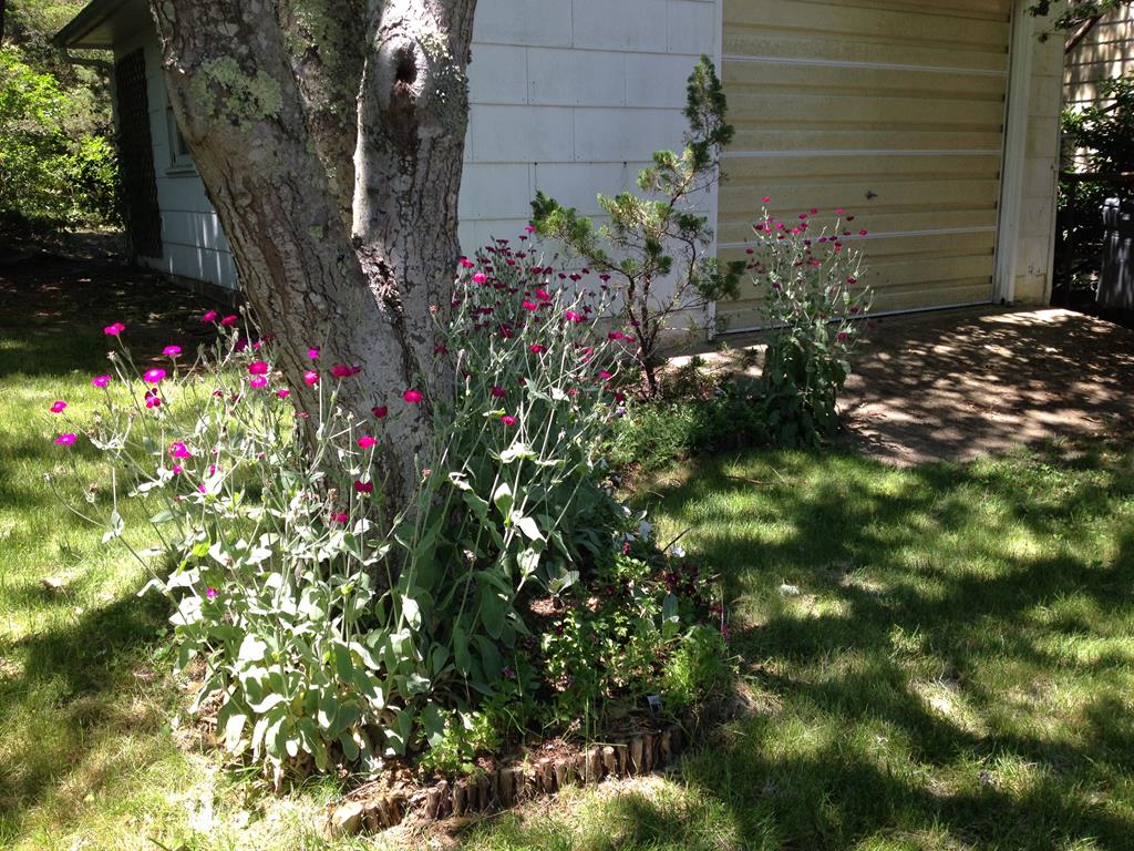 Pias Point - 802 Cape Avenue | Photo 23