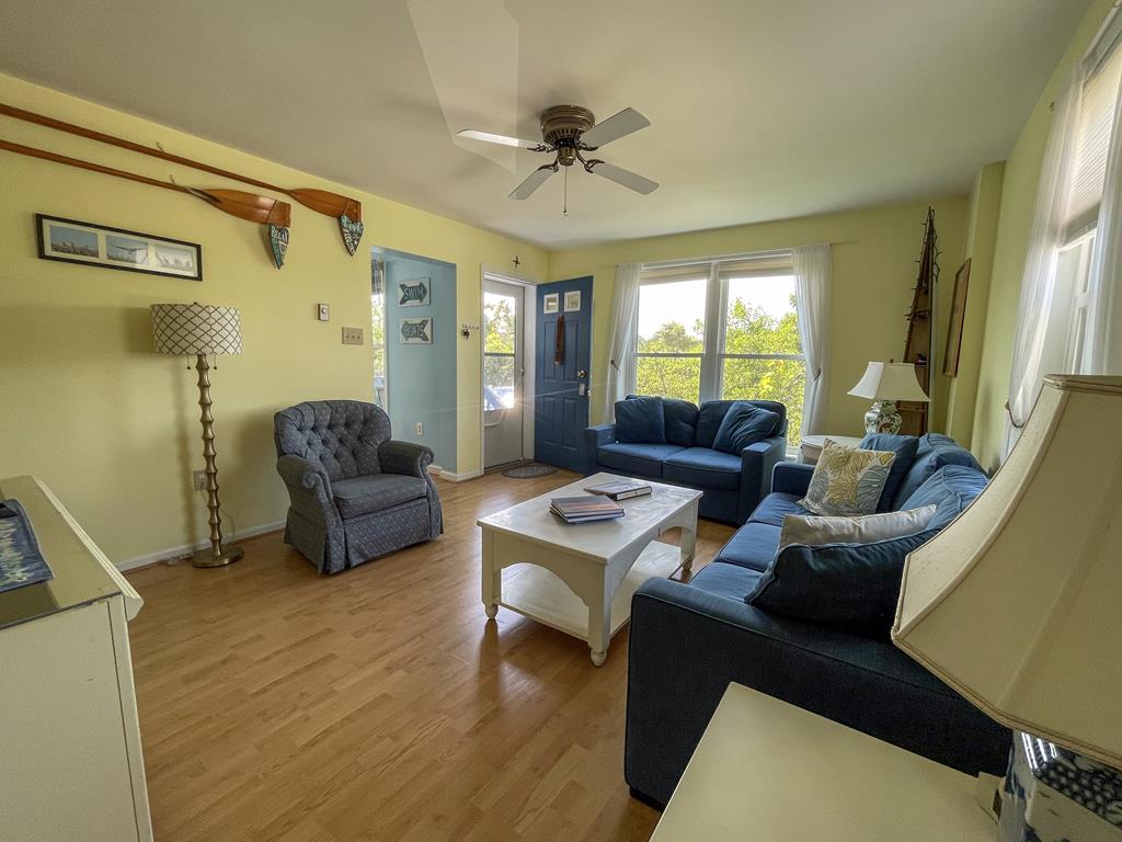 503 Mallow Road | Photo 13