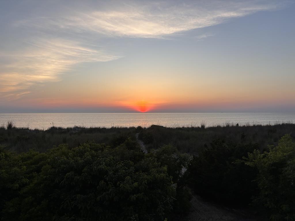 505 Beach Avenue- SECOND FLOOR | Photo 22