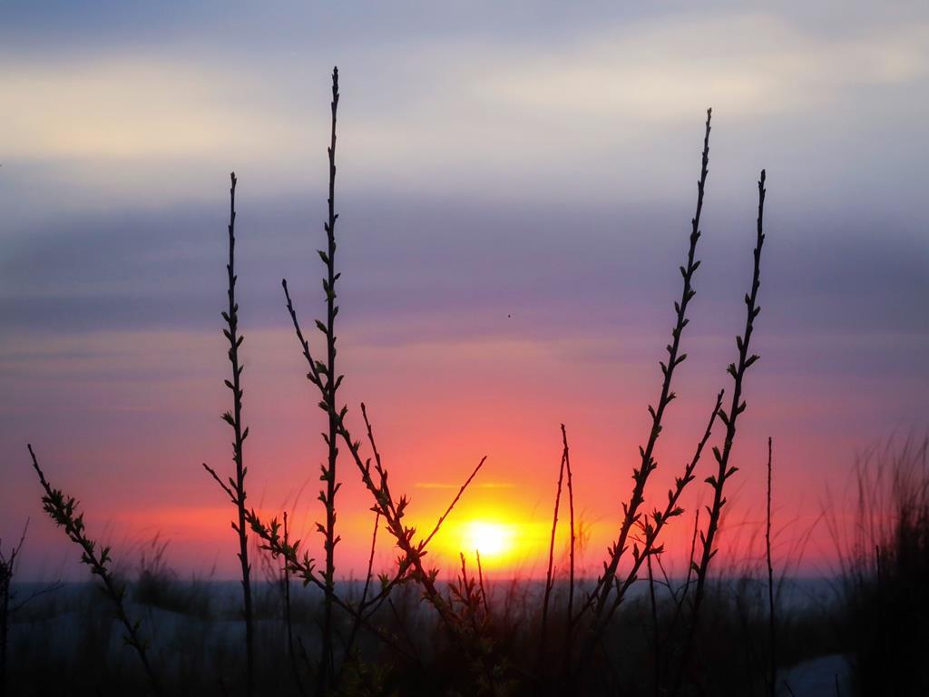 505 Beach Avenue- SECOND FLOOR | Photo 23