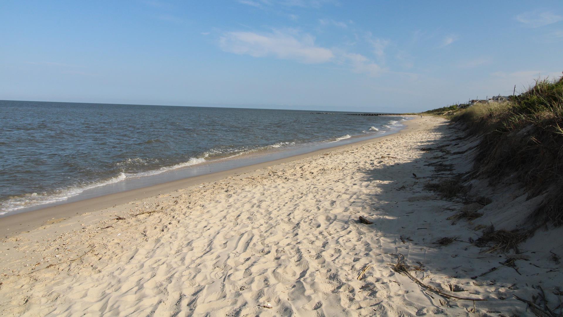 Salty Dog Beach House