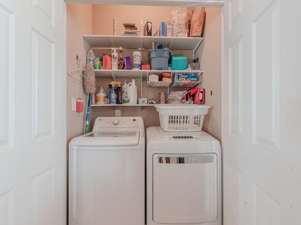 Bayside Beauty | Photo 33