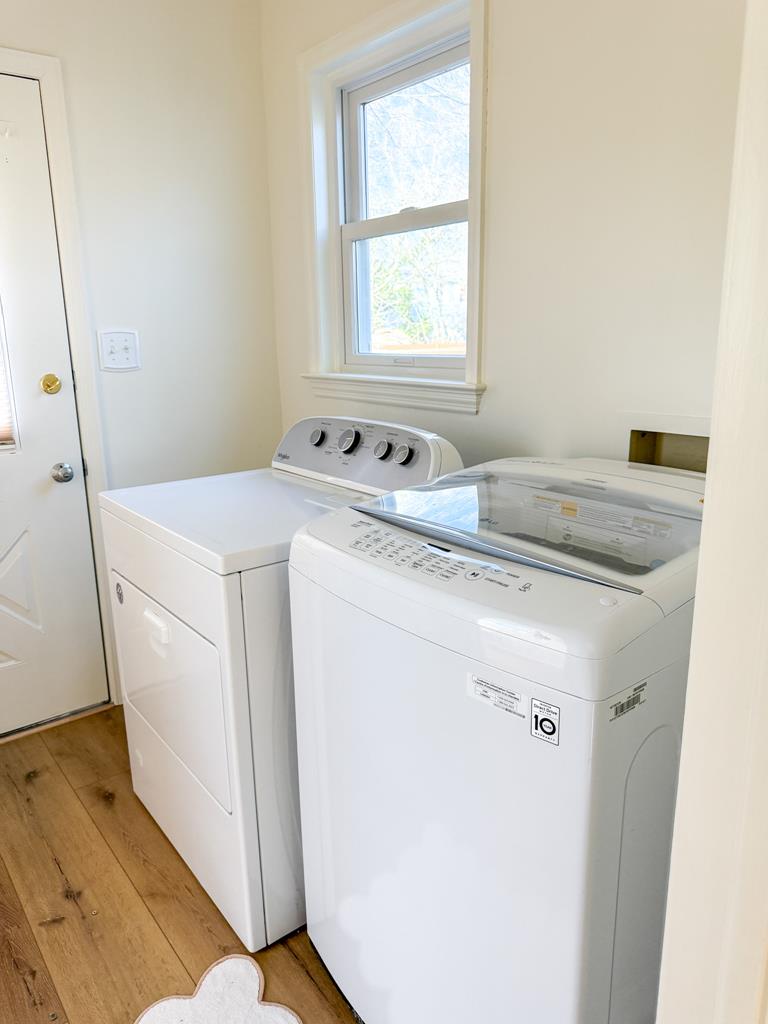 Lobster Landing | Photo 35