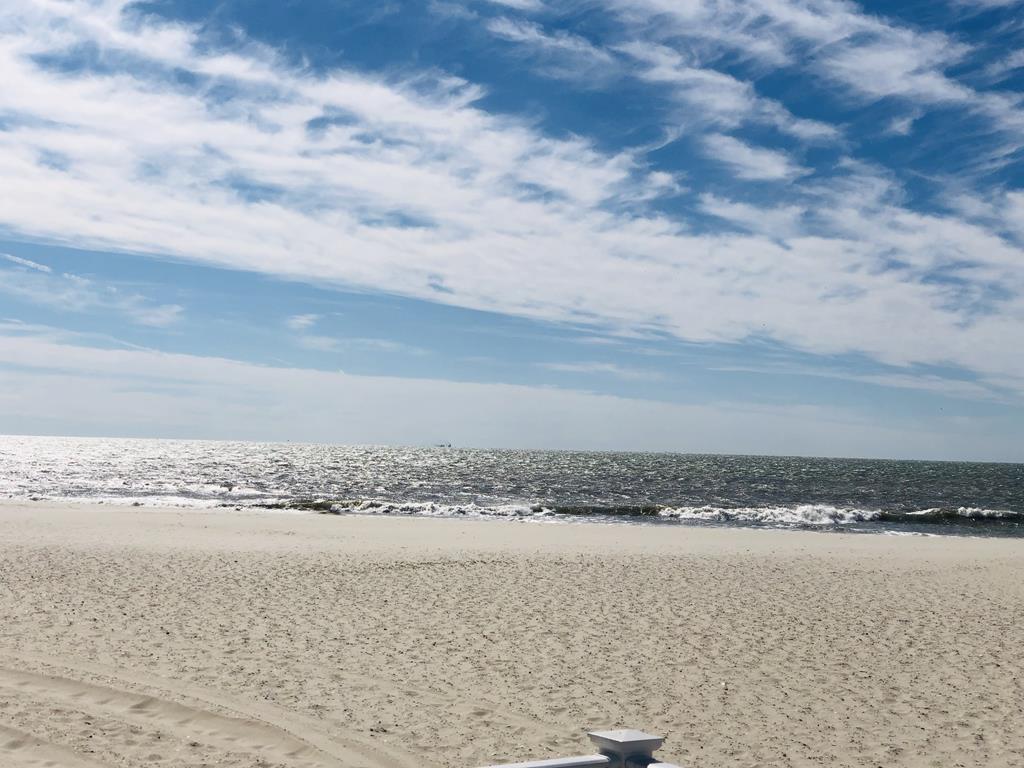 1105 St. James Place - POOL! | Photo 29