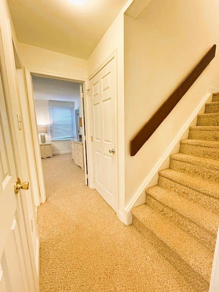 17 80th Street, Sea Isle City (Beach Block)