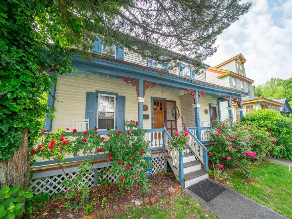 Cozy on Corgie | Photo 3