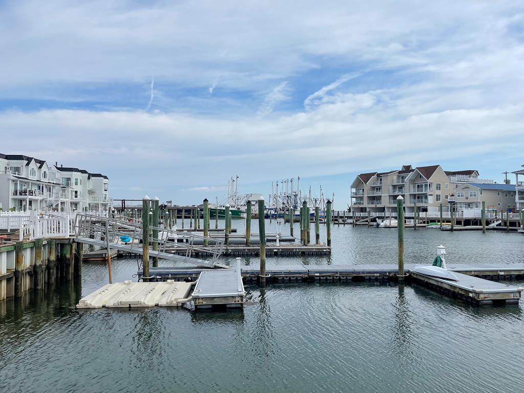 Pops Dream | Photo 3