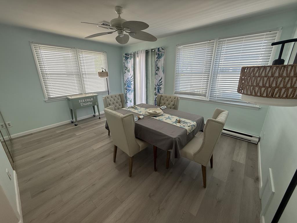 Sunflower Beech | Photo 19