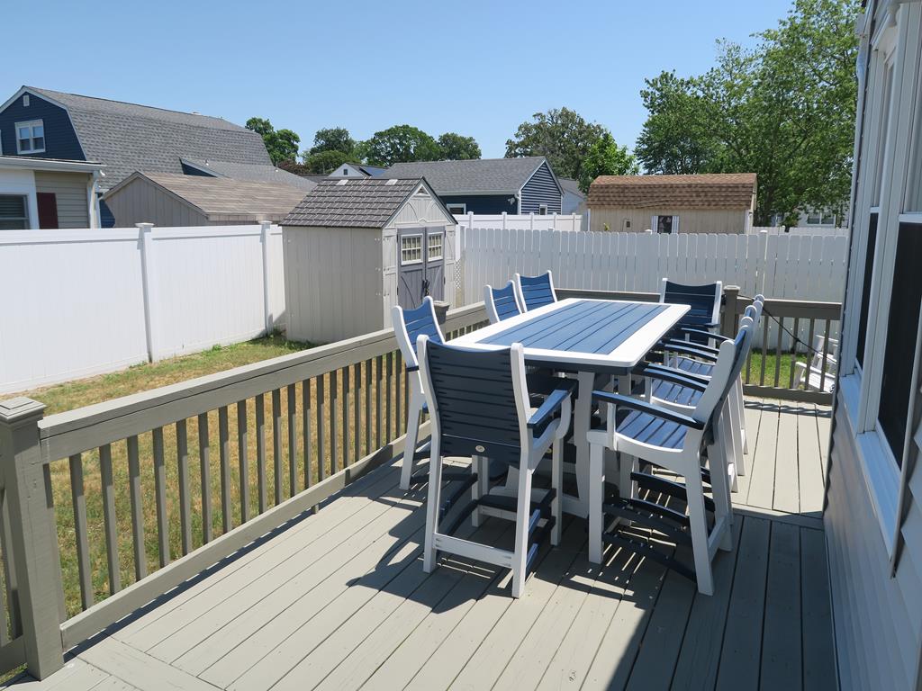 Sunflower Beech | Photo 22