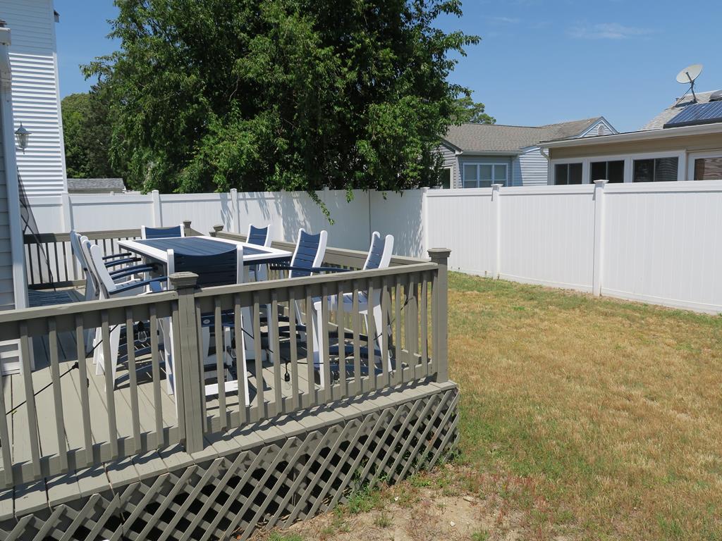Sunflower Beech | Photo 25