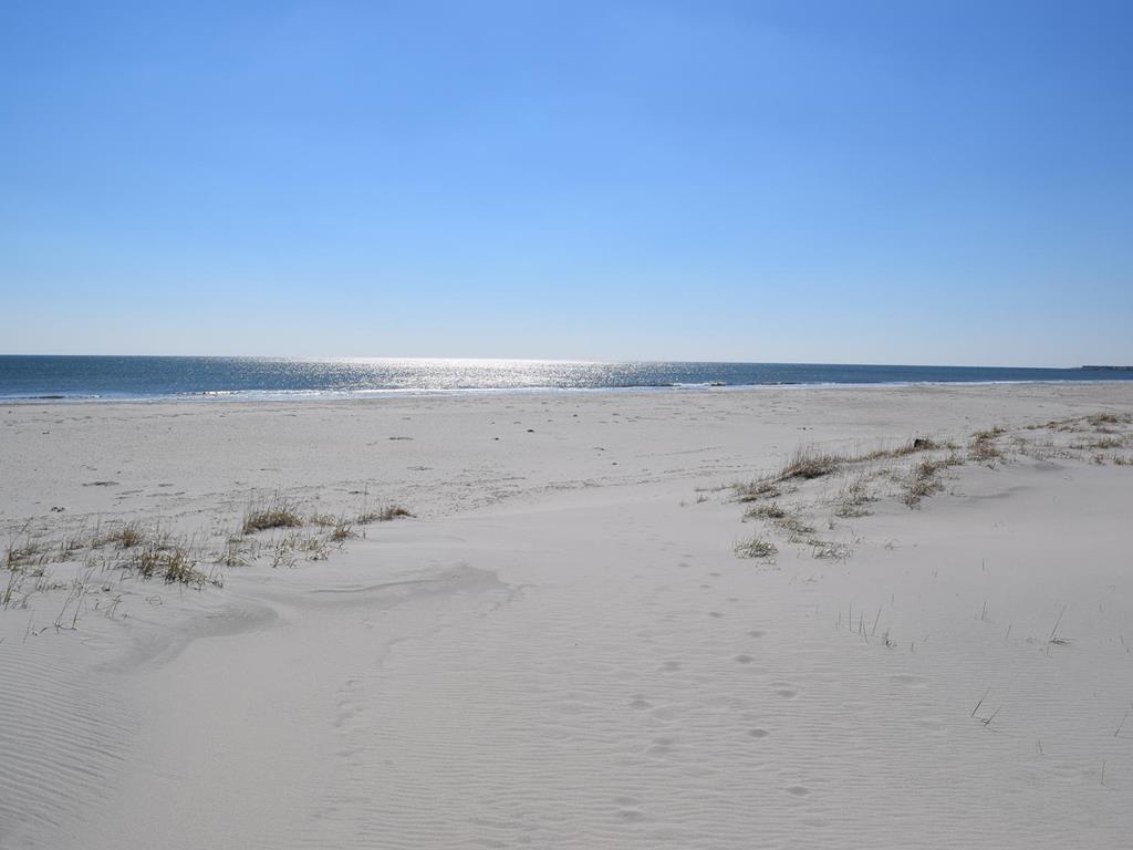 6601 Pleasure Avenue, Sea Isle City (Beach Front)