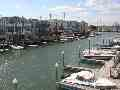 354 43rd Place, Sea Isle City (Bay Front)