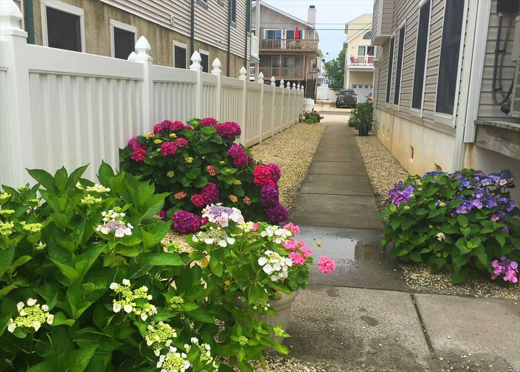 29 80th Street, Sea Isle City (Beach Block)