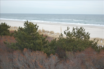 2601 Landis Avenue., Sea Isle City (Beach Front)