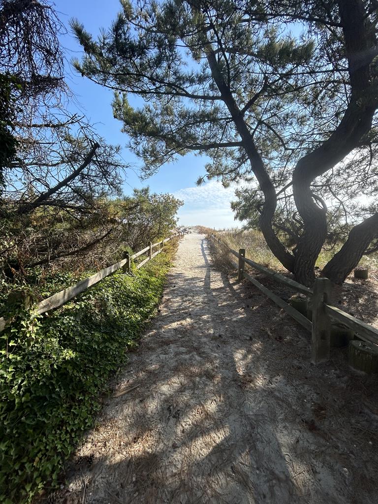 7209 Pleasure Avenue, Sea Isle City (Beach Front)