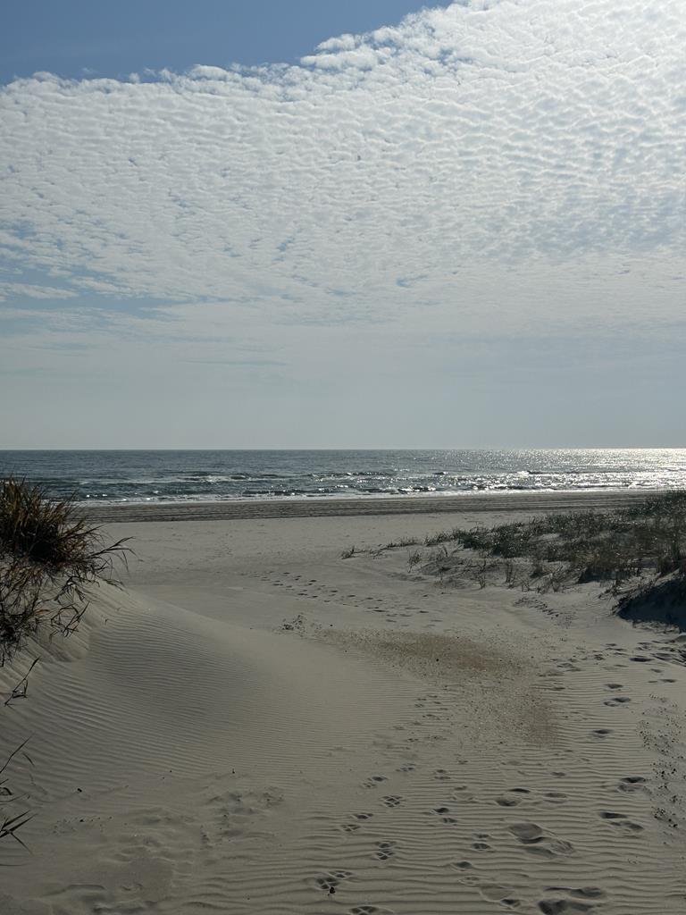 7209 Pleasure Avenue, Sea Isle City (Beach Front)