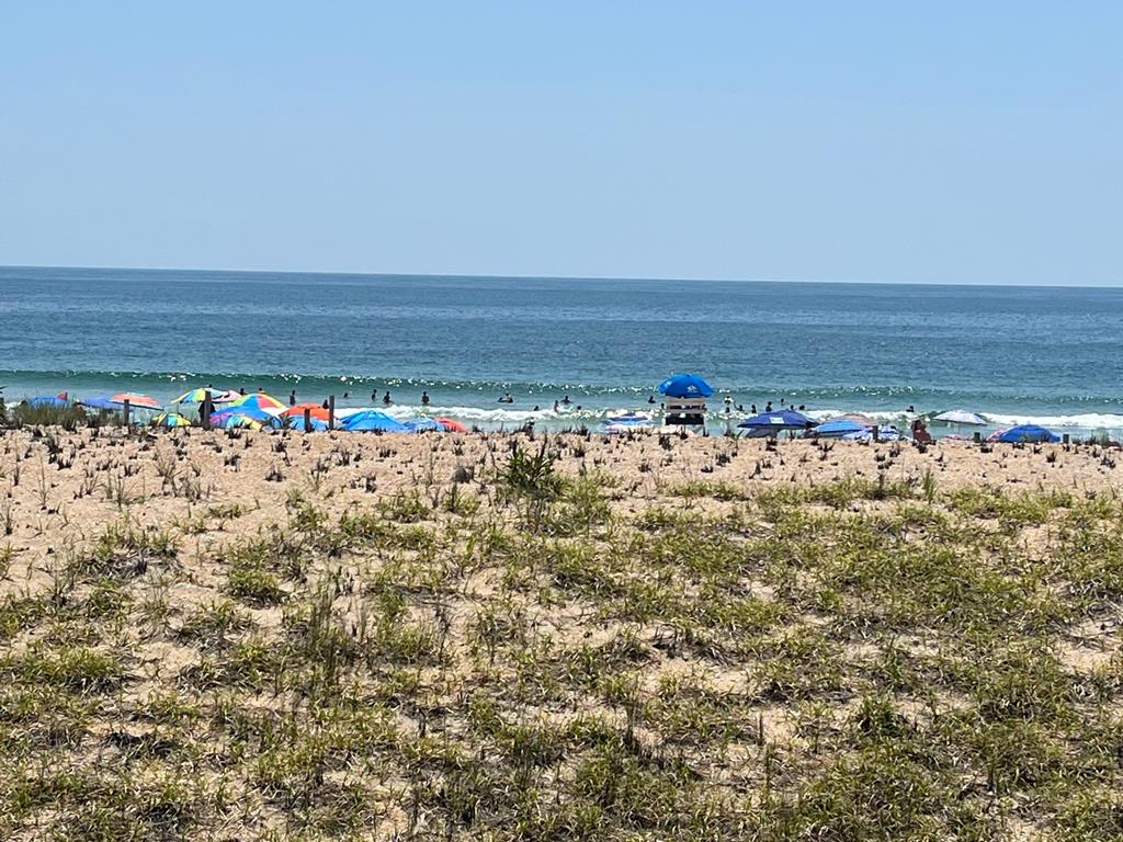 9 Pearl Street, Beach Haven (Ocean Front)