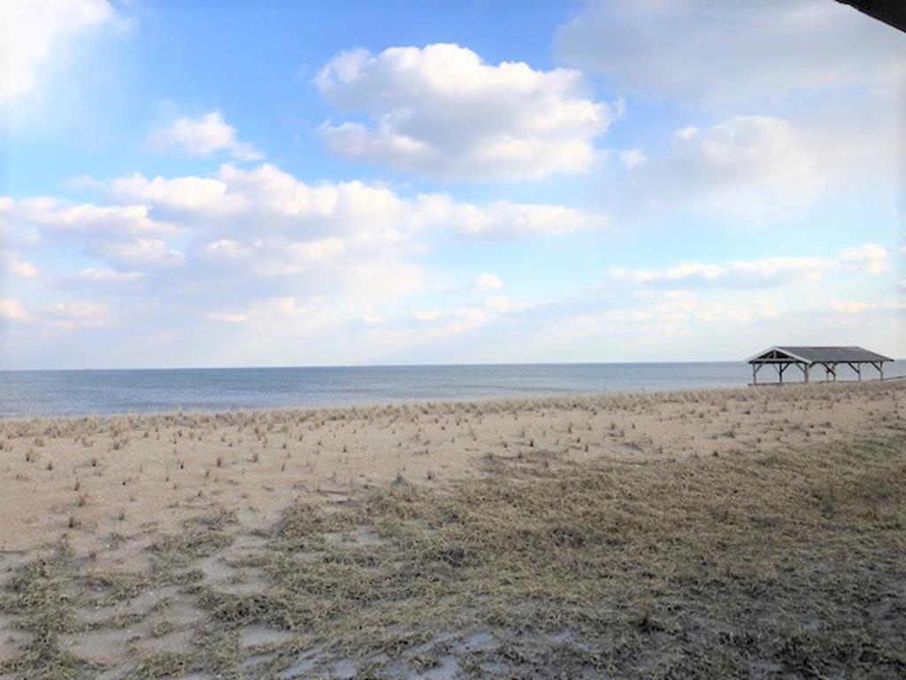 9 Pearl Street, Beach Haven (Ocean Front)