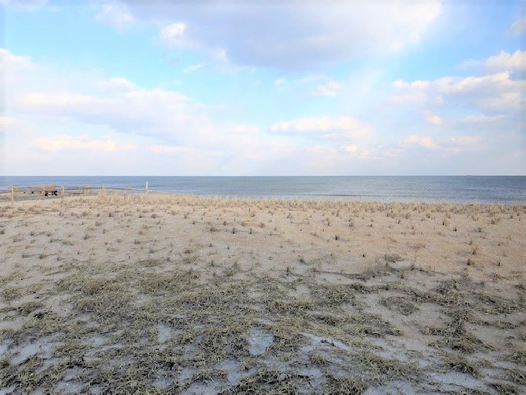 9 Pearl Street, Beach Haven (Ocean Front)