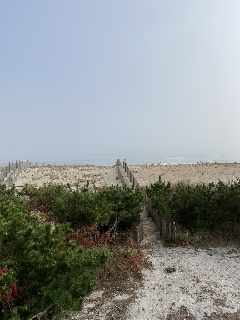 127 Iroquois Avenue, Beach Haven (Ocean Front)