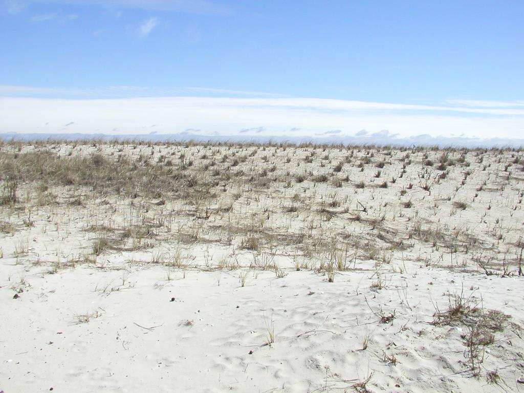 200 Stratford Avenue    1st Floor, Beach Haven (Ocean Front)