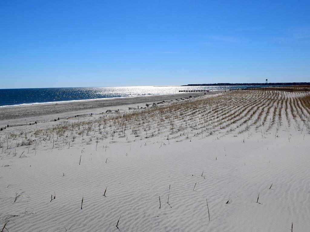 7712 Pleasure Avenue, Sea Isle City (Beach Block)
