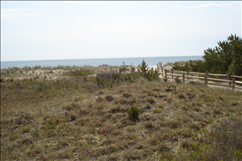 13 86th Street, Sea Isle City (Beach Front)