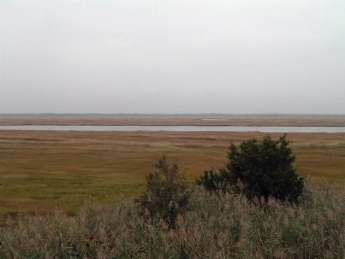 SOLD 6318 Central Avenue, Sea Isle City (Center)