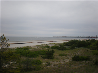 6 85th Street - Picture 