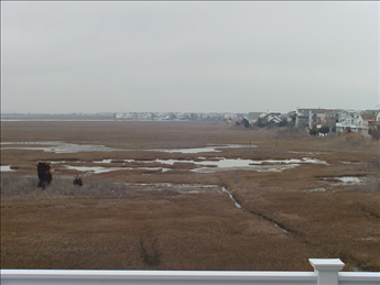 221 76th Street - Picture 