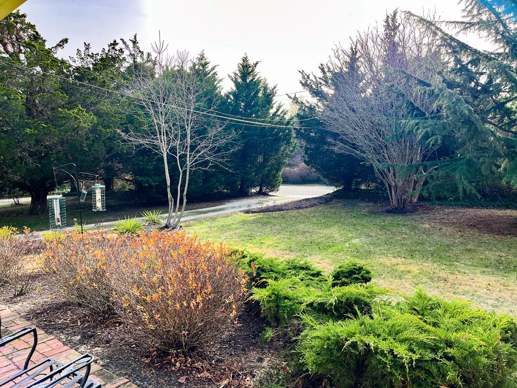 547 Sunset Blvd | Photo 5