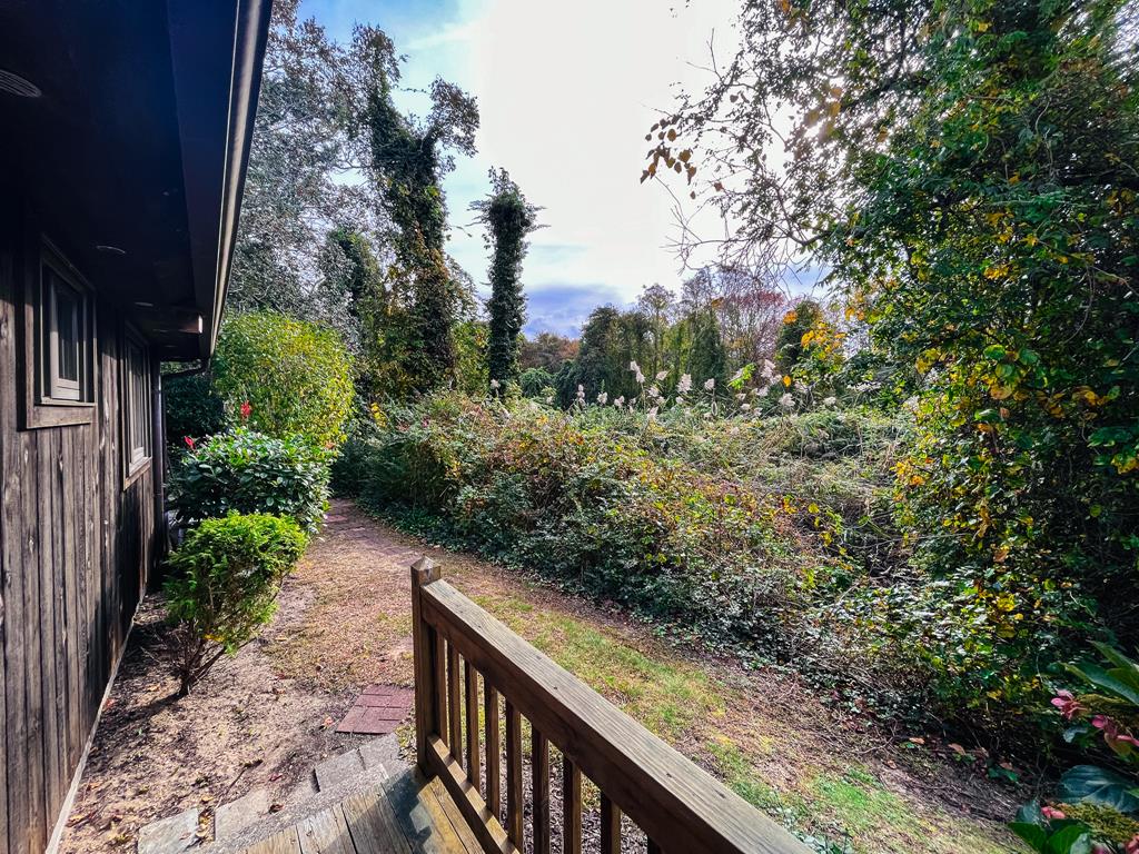 Lily Pad Lake Views | Photo 3