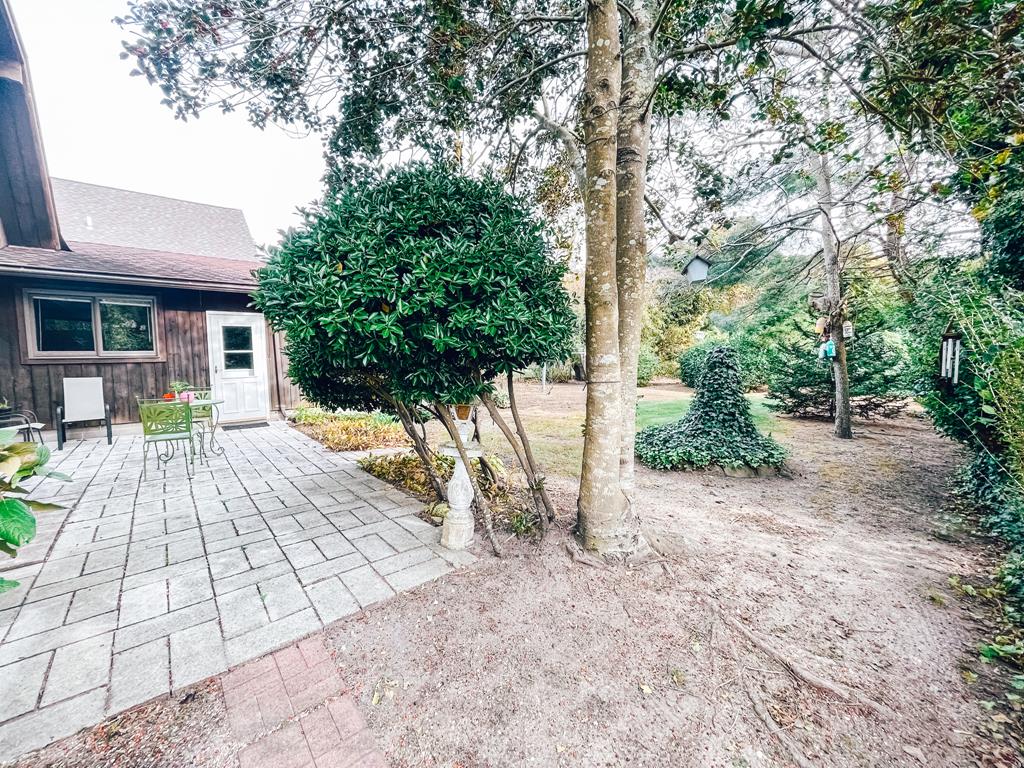 Lily Pad Lake Views | Photo 15