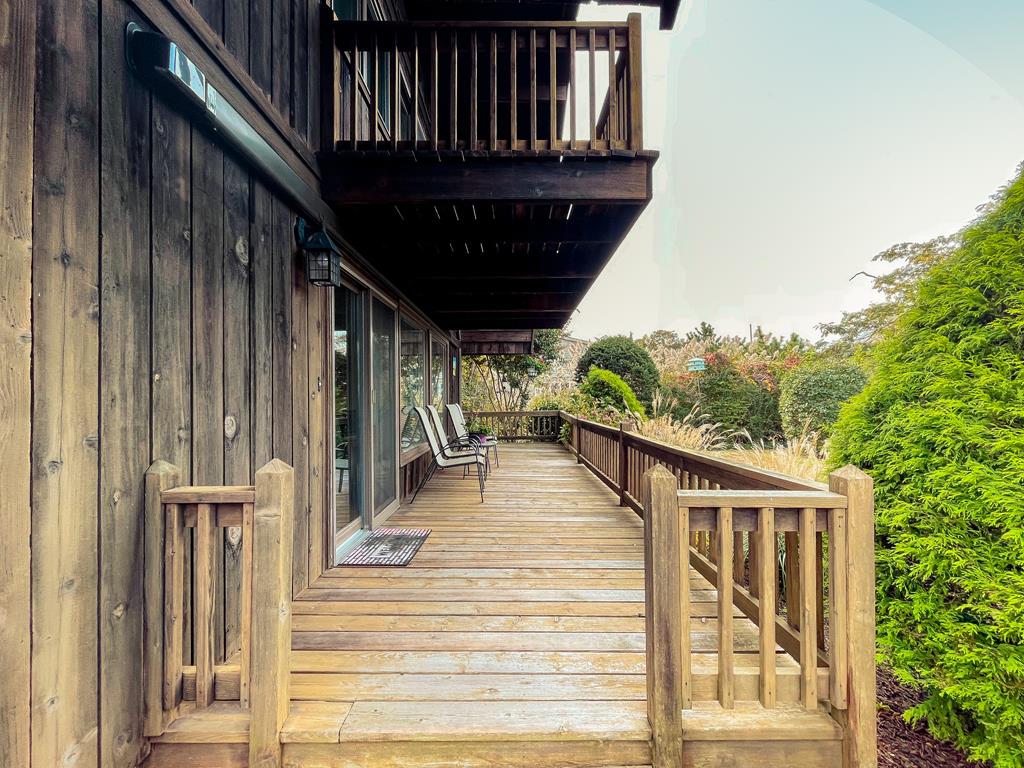 Lily Pad Lake Views | Photo 4