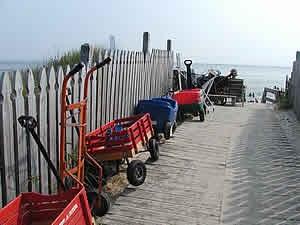 All lined up at the beach