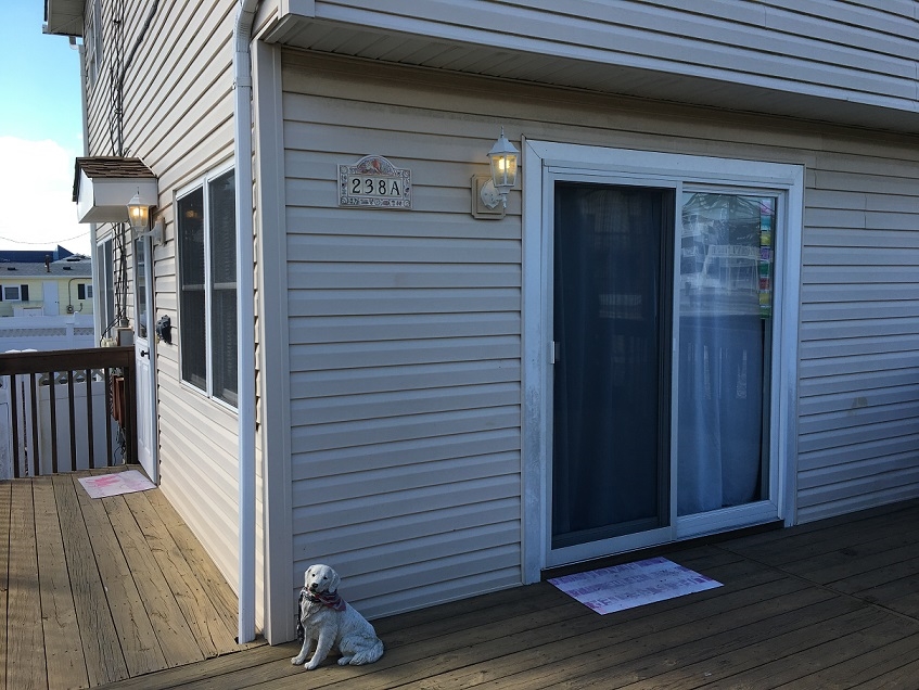238 39th Street, Sea Isle City (Bay Side)