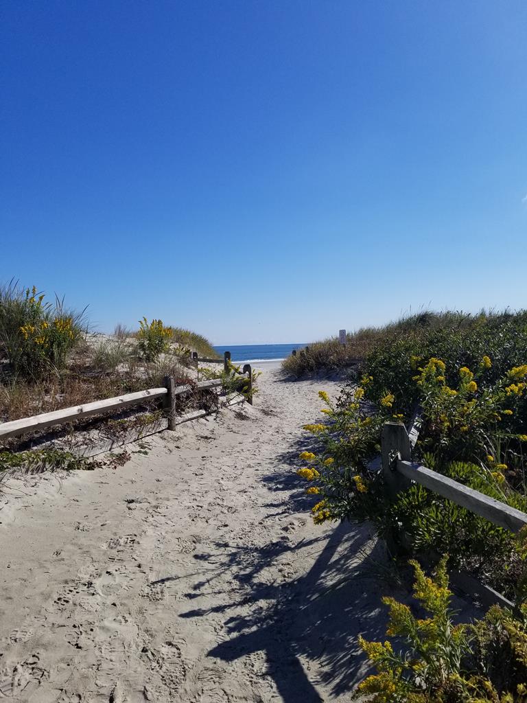 7204 Pleasure Avenue, Sea Isle City (Beach Block)